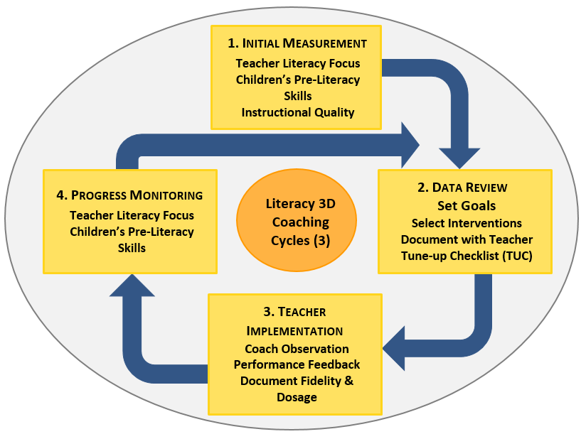 Figure of Literacy 3D Data Driven Decision Making Cycle